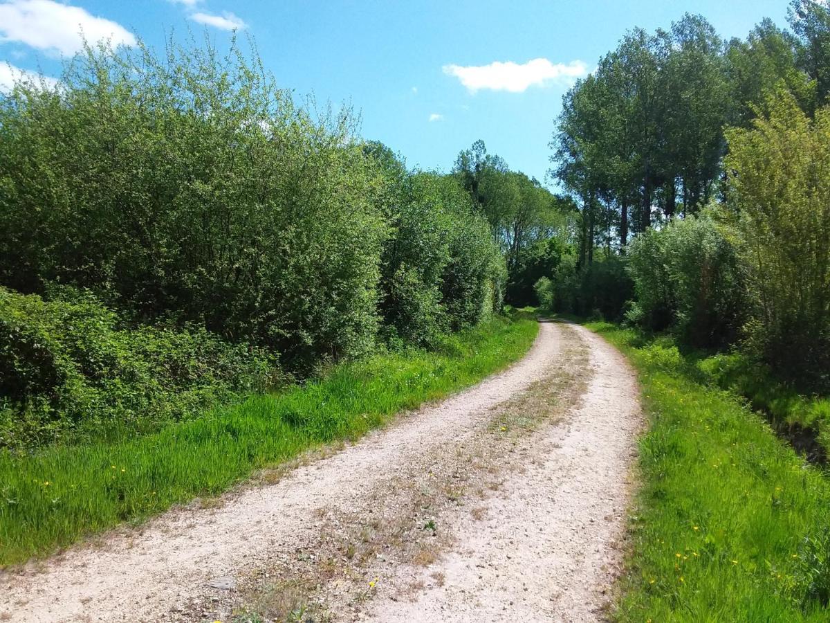 Petite Maison Normande Bellou-en-Houlme Eksteriør billede